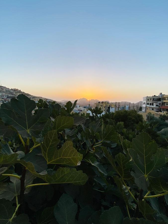 Montana Inn Ουάντι Μούσα Εξωτερικό φωτογραφία