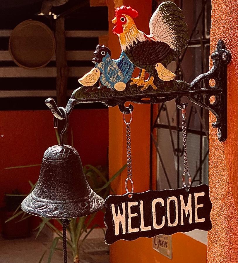 Montana Inn Ουάντι Μούσα Εξωτερικό φωτογραφία